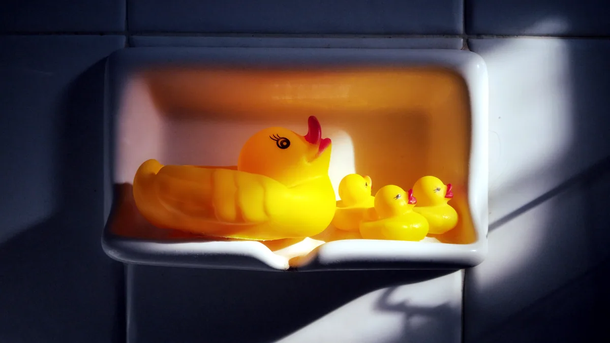 A rubber duck grinning on the ledge of a sunlit kitchen sink.