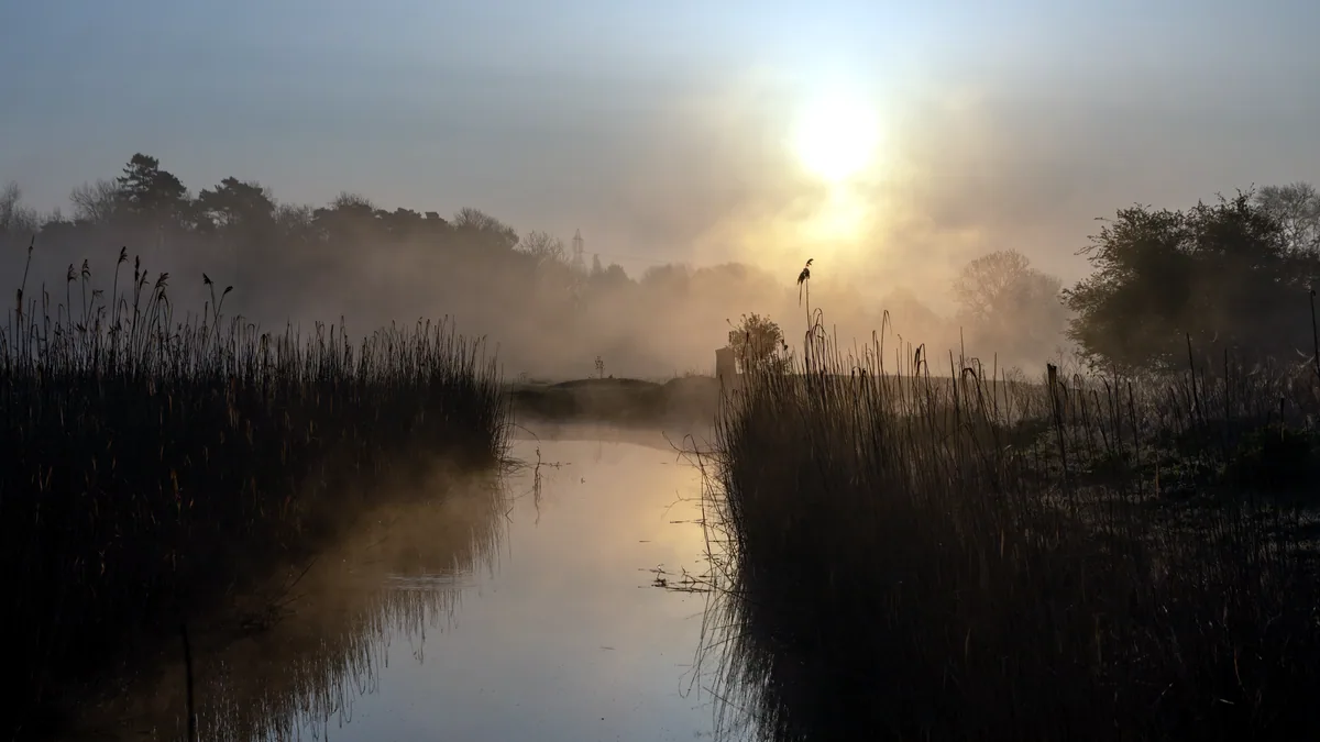 A calm river at dawn, mist drifting over the reed beds.
