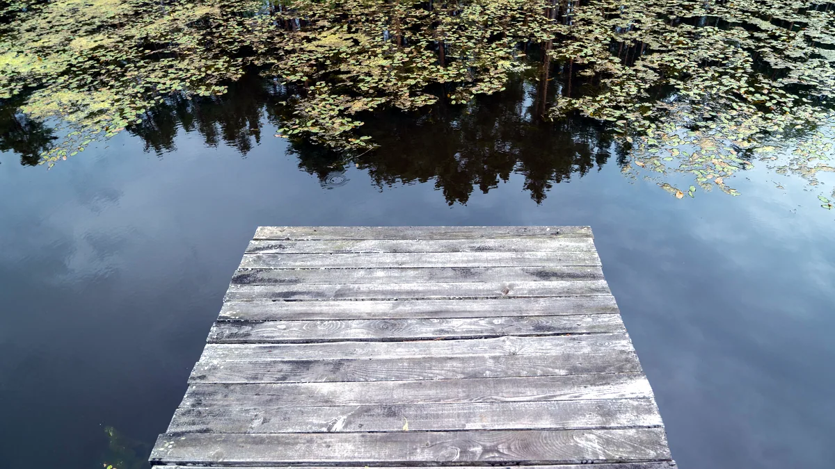 A wooden dock reaching into a still lake at the edge of the woods.